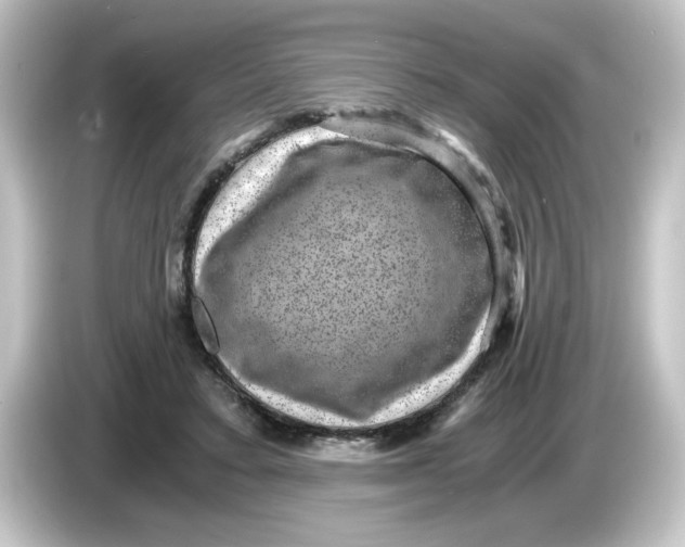 X0000084570403200703161726