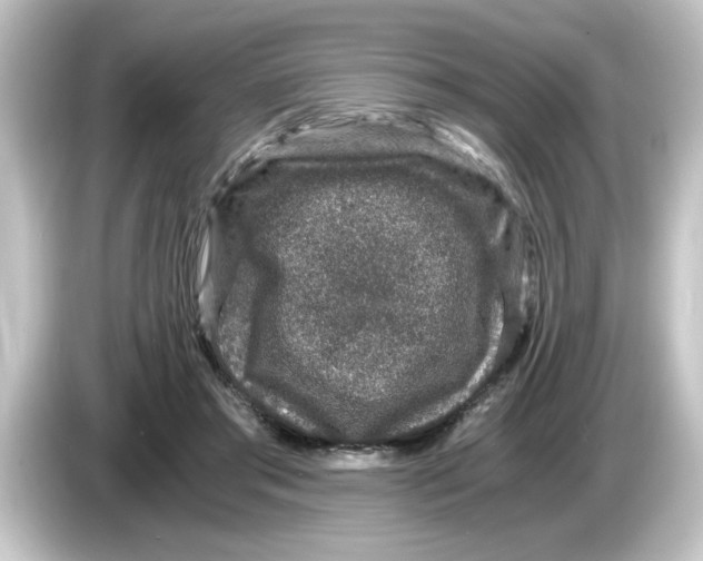 X0000084570405200703161726