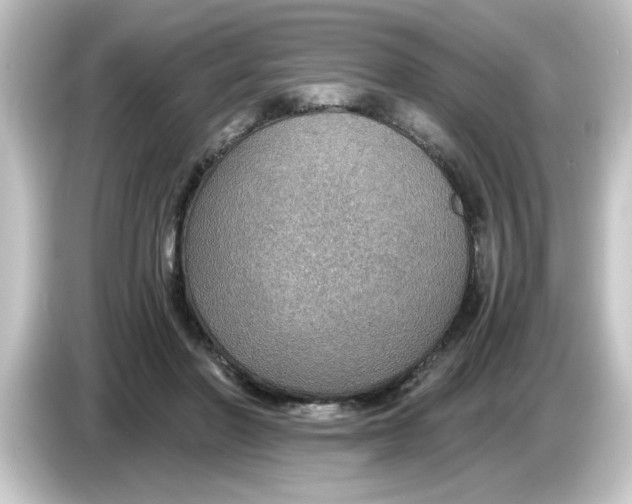 X0000084570406200703161726