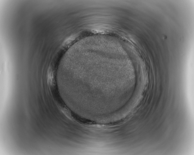 X0000084570408200703161726
