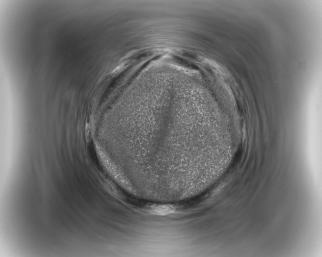 X0000084570409200703161726