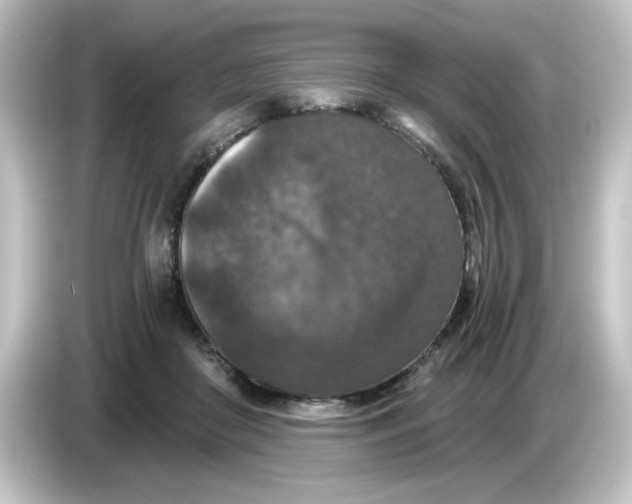 X0000084570410200703161726
