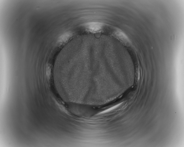 X0000084570412200703161726