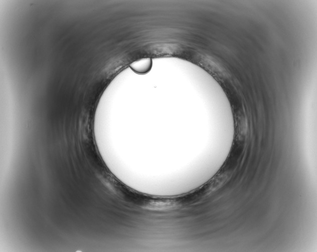 X0000084570414200703161726