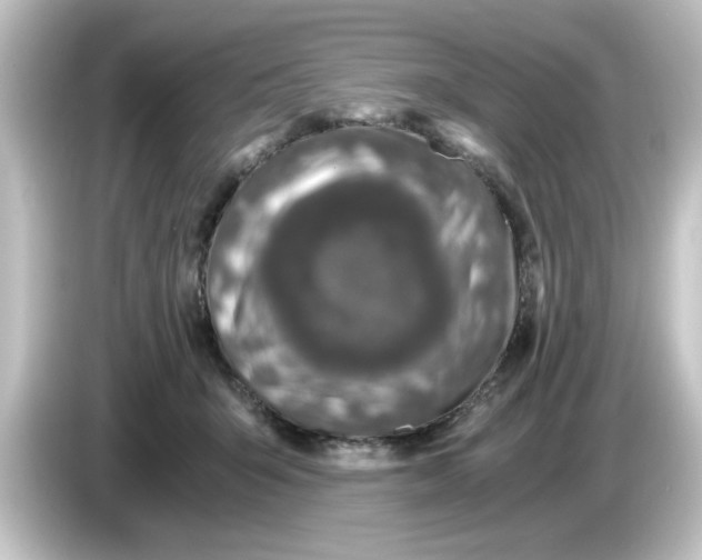X0000084570415200703161726
