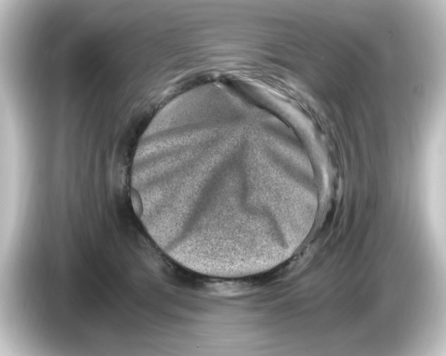 X0000084570417200703161726