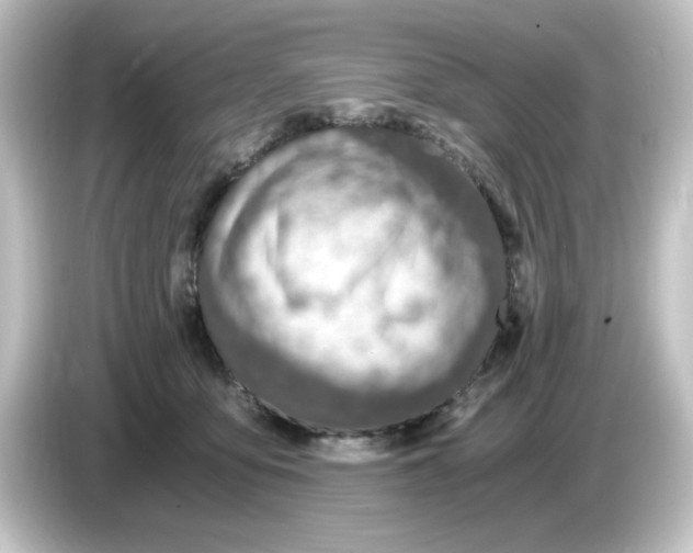 X0000084570419200703161726