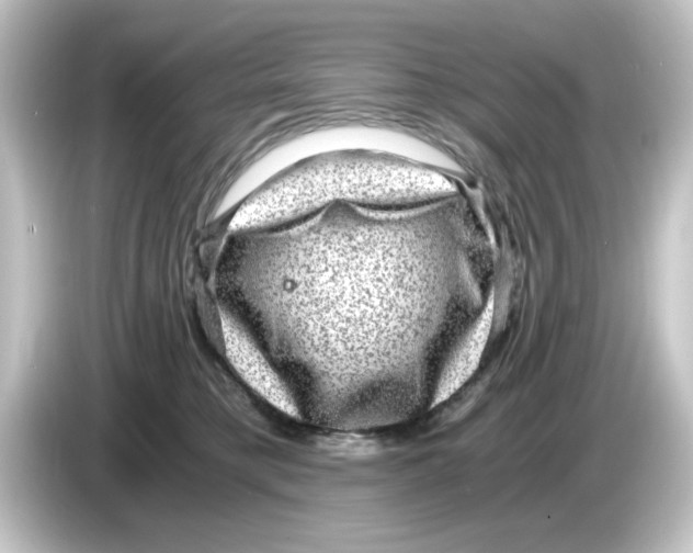 X0000084570421200703161726