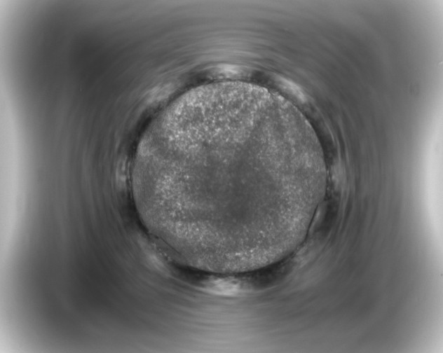 X0000084570423200703161726