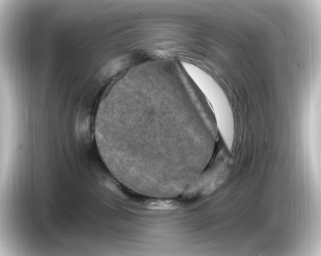 X0000084570428200703161726