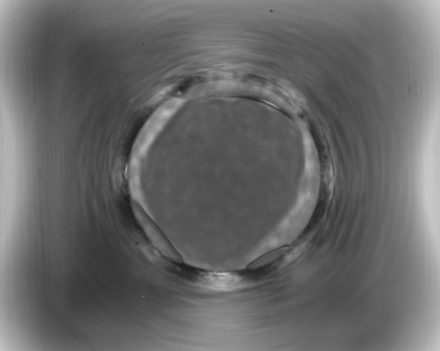 X0000084570429200703161726