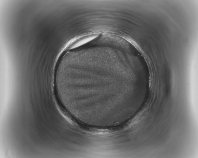 X0000084570438200703161725