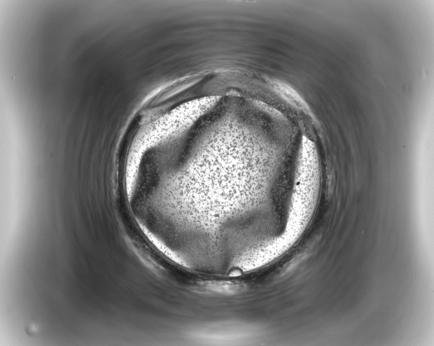 X0000084570439200703161725