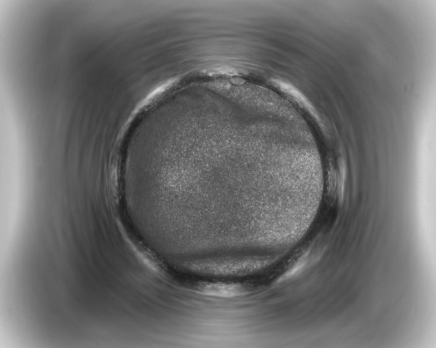 X0000084570444200703161725