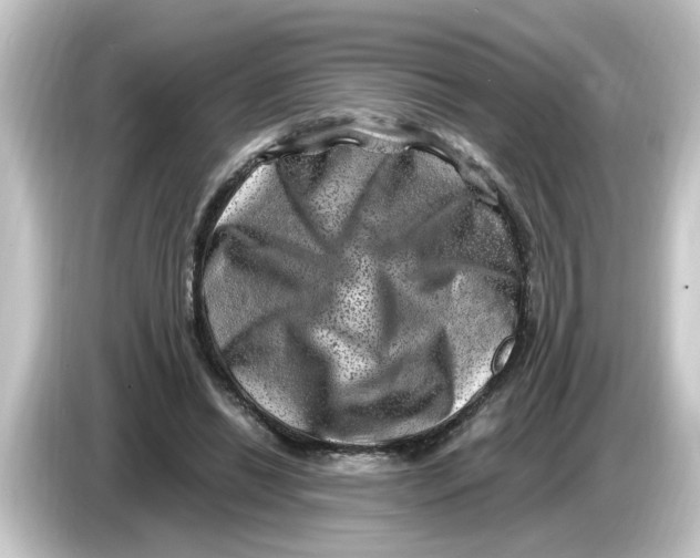 X0000084570446200703161725