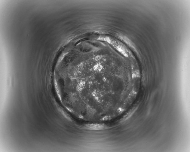 X0000084570449200703161725