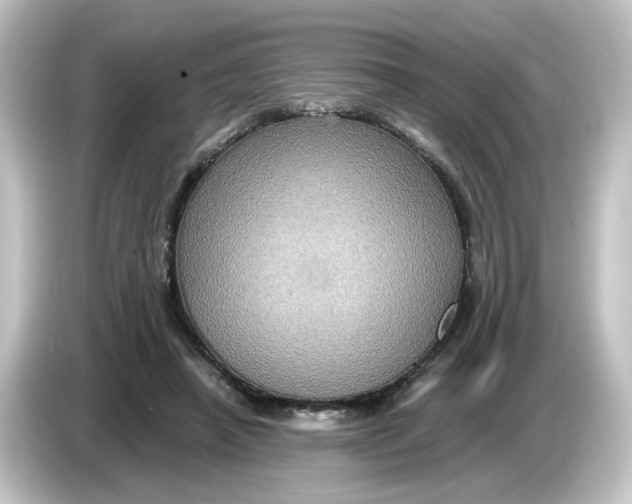X0000084570450200703161725
