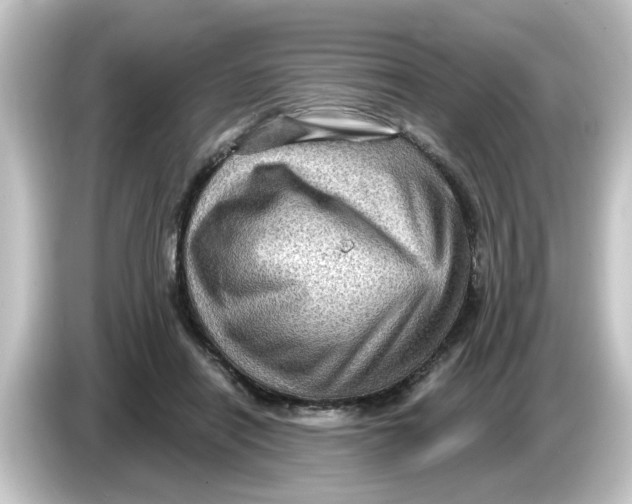 X0000084570454200703161726