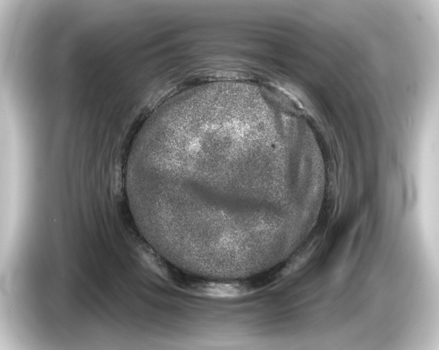 X0000084570457200703161726