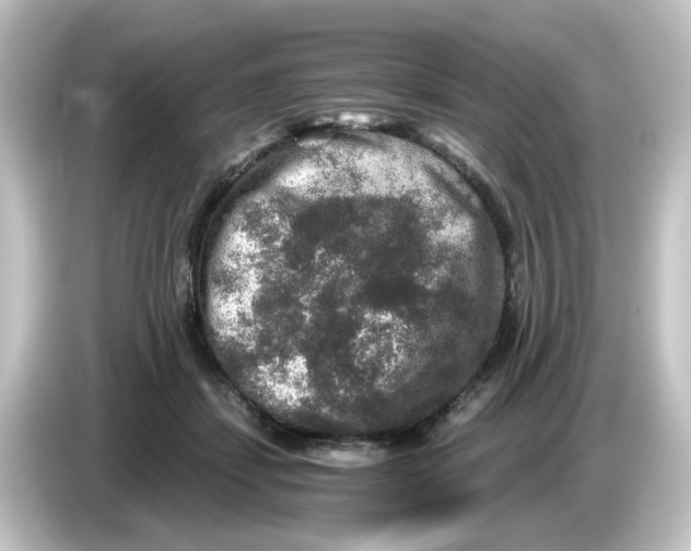 X0000084570459200703161726