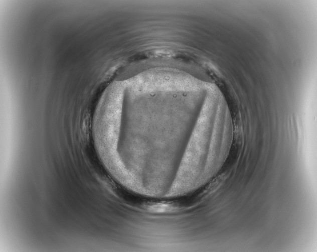 X0000084570460200703161726