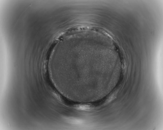 X0000084570462200703161726