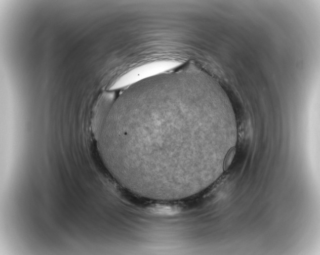 X0000084570464200703161726
