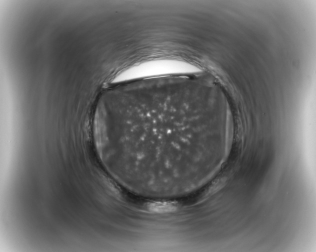 X0000084570465200703161726