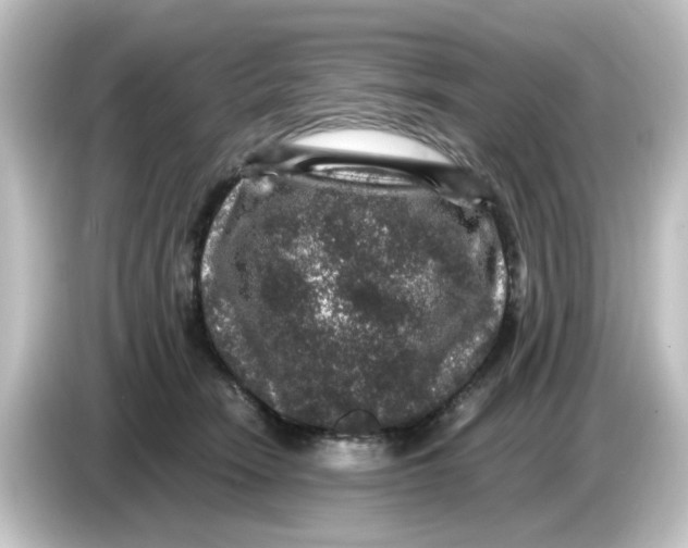 X0000084570466200703161726