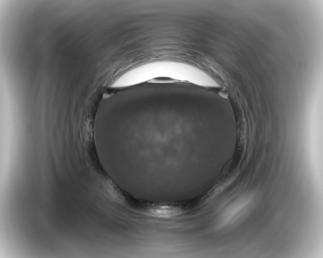 X0000084570467200703161726