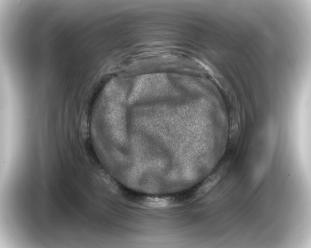 X0000084570469200703161726