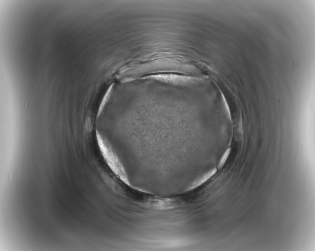 X0000084570472200703161726
