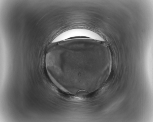 X0000084570475200703161726