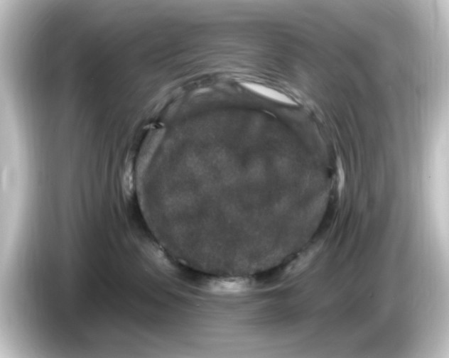 X0000084570479200703161726