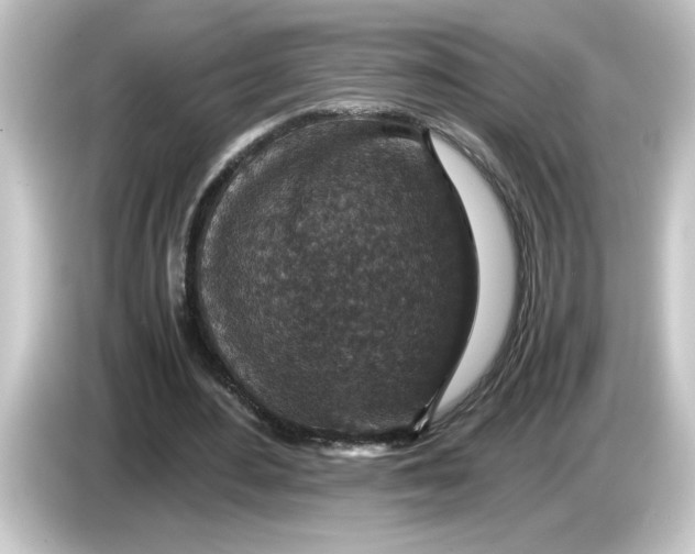 X0000084570484200703161725