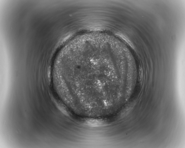 X0000084570494200703161725