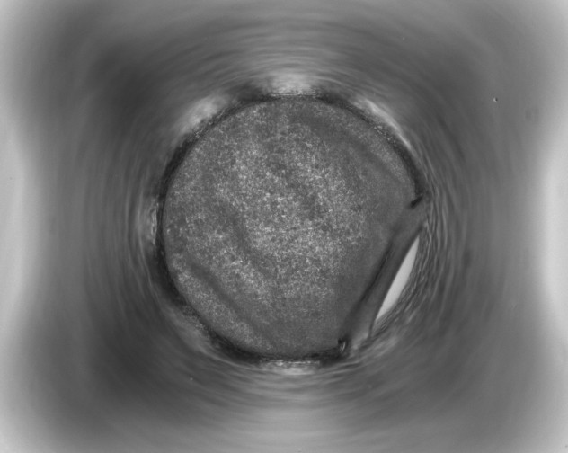 X0000084570495200703161725