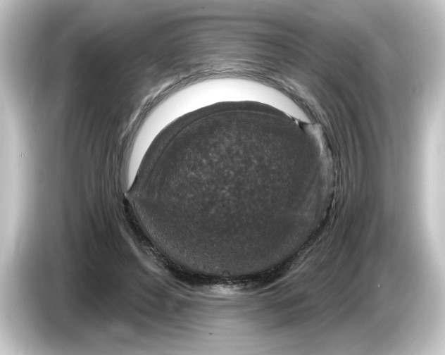 X0000084570496200703161725