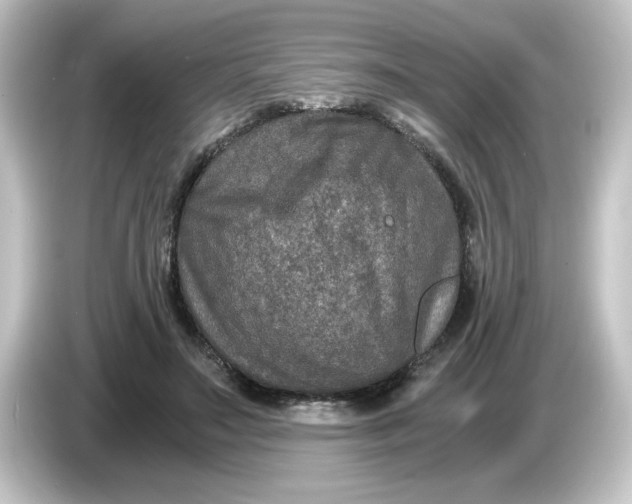 X0000084570499200703161725