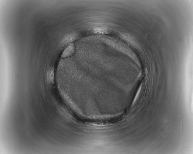 X0000084570502200703161725