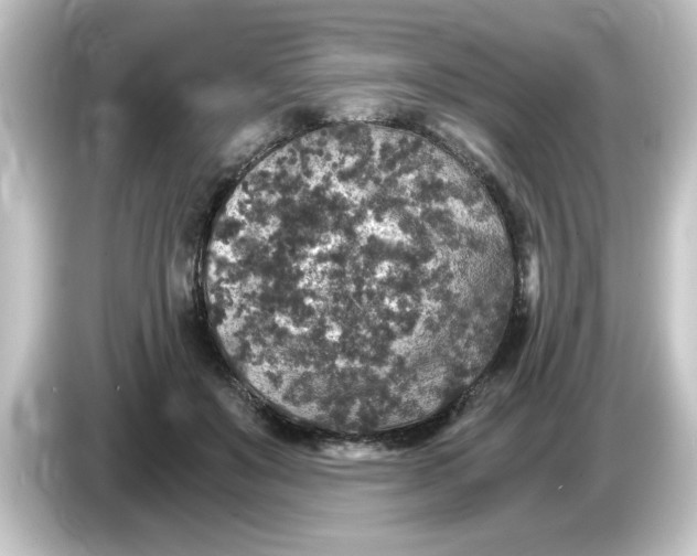 X0000084570503200703161725