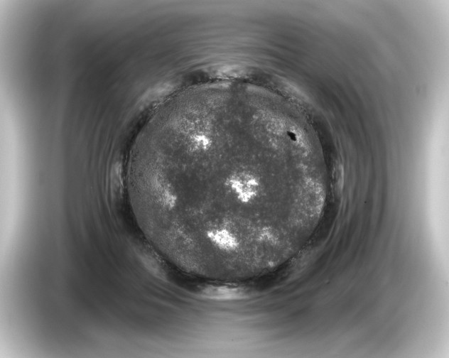 X0000084570506200703161725