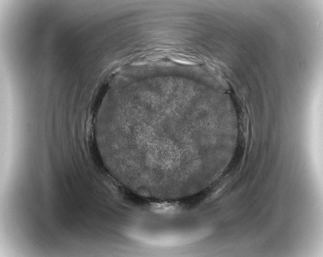 X0000084570511200703161725