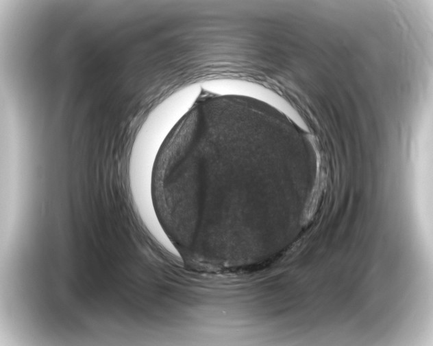 X0000084570512200703161725