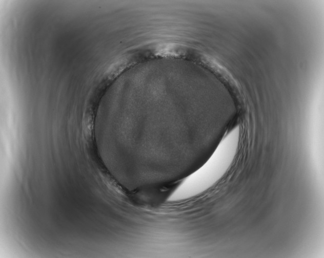 X0000084570513200703161725