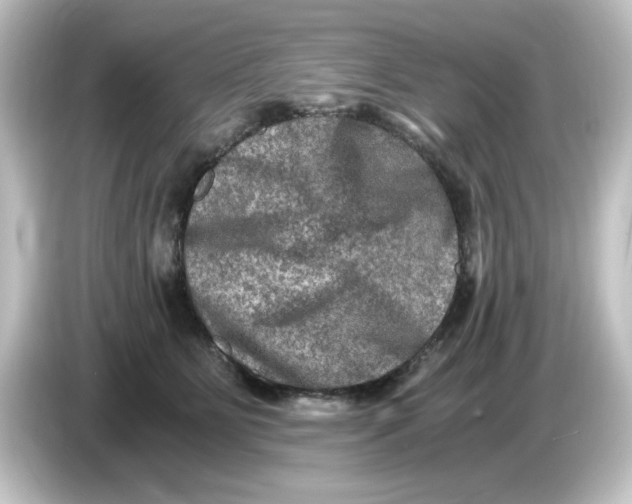 X0000084570515200703161725