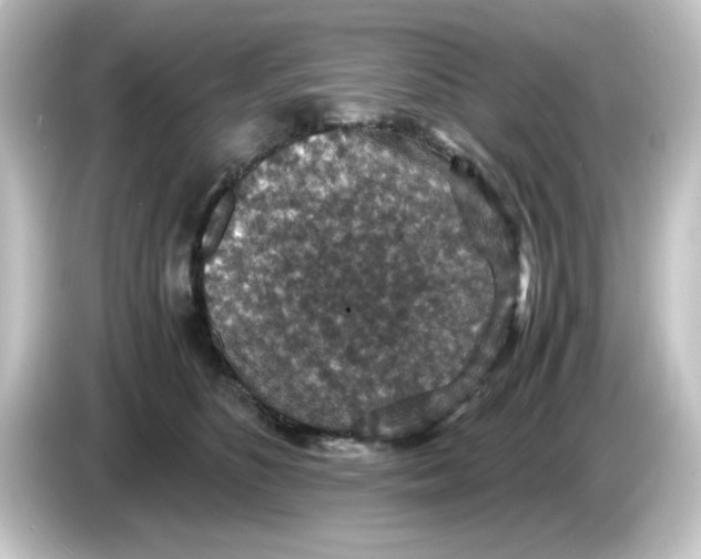 X0000084570516200703161725
