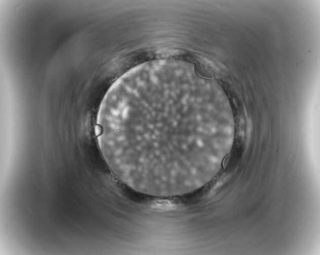 X0000084570519200703161725
