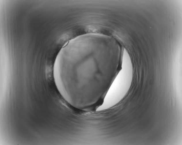 X0000084570526200703161725