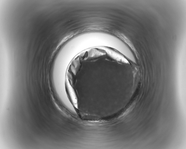X0000084570530200703161724